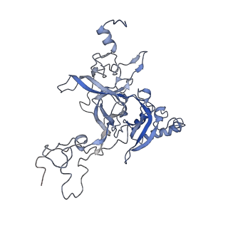 20257_6p5k_AB_v1-3
Structure of a mammalian 80S ribosome in complex with the Israeli Acute Paralysis Virus IRES (Class 3)