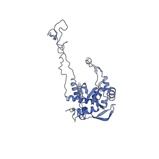 20257_6p5k_AC_v1-3
Structure of a mammalian 80S ribosome in complex with the Israeli Acute Paralysis Virus IRES (Class 3)