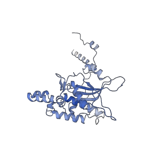 20257_6p5k_AD_v1-3
Structure of a mammalian 80S ribosome in complex with the Israeli Acute Paralysis Virus IRES (Class 3)