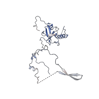 20257_6p5k_AE_v1-3
Structure of a mammalian 80S ribosome in complex with the Israeli Acute Paralysis Virus IRES (Class 3)