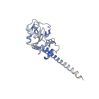 20257_6p5k_AF_v1-3
Structure of a mammalian 80S ribosome in complex with the Israeli Acute Paralysis Virus IRES (Class 3)