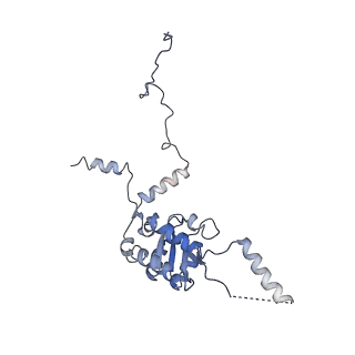 20257_6p5k_AG_v1-3
Structure of a mammalian 80S ribosome in complex with the Israeli Acute Paralysis Virus IRES (Class 3)