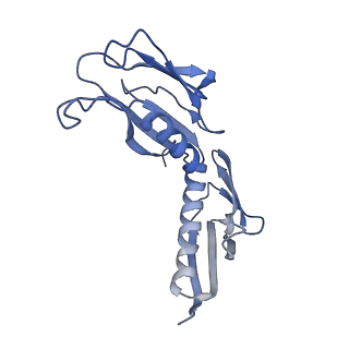 20257_6p5k_AH_v1-3
Structure of a mammalian 80S ribosome in complex with the Israeli Acute Paralysis Virus IRES (Class 3)