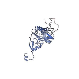20257_6p5k_AI_v1-3
Structure of a mammalian 80S ribosome in complex with the Israeli Acute Paralysis Virus IRES (Class 3)