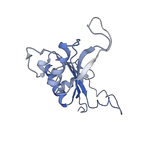 20257_6p5k_AJ_v1-3
Structure of a mammalian 80S ribosome in complex with the Israeli Acute Paralysis Virus IRES (Class 3)