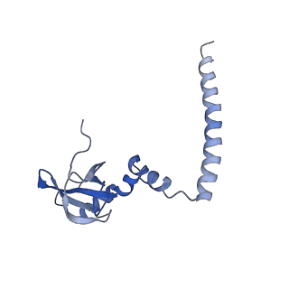 20257_6p5k_AM_v1-3
Structure of a mammalian 80S ribosome in complex with the Israeli Acute Paralysis Virus IRES (Class 3)