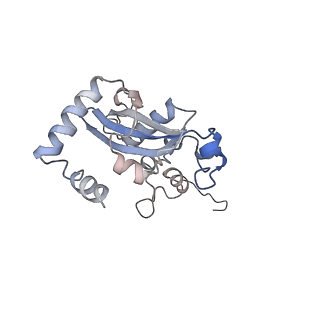 20257_6p5k_AN_v1-3
Structure of a mammalian 80S ribosome in complex with the Israeli Acute Paralysis Virus IRES (Class 3)