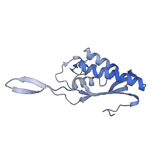 20257_6p5k_AP_v1-3
Structure of a mammalian 80S ribosome in complex with the Israeli Acute Paralysis Virus IRES (Class 3)