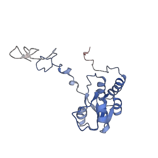 20257_6p5k_AQ_v1-3
Structure of a mammalian 80S ribosome in complex with the Israeli Acute Paralysis Virus IRES (Class 3)