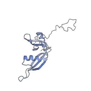 20257_6p5k_AS_v1-3
Structure of a mammalian 80S ribosome in complex with the Israeli Acute Paralysis Virus IRES (Class 3)