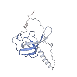 20257_6p5k_AT_v1-3
Structure of a mammalian 80S ribosome in complex with the Israeli Acute Paralysis Virus IRES (Class 3)