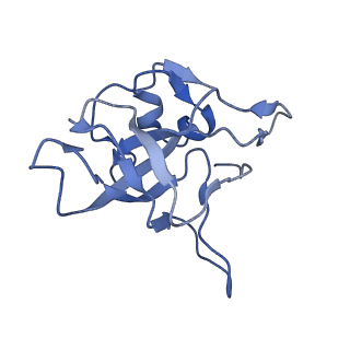 20257_6p5k_AV_v1-3
Structure of a mammalian 80S ribosome in complex with the Israeli Acute Paralysis Virus IRES (Class 3)