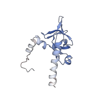 20257_6p5k_AY_v1-3
Structure of a mammalian 80S ribosome in complex with the Israeli Acute Paralysis Virus IRES (Class 3)