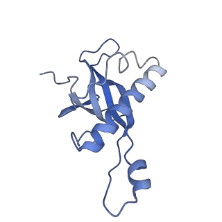 20257_6p5k_AZ_v1-3
Structure of a mammalian 80S ribosome in complex with the Israeli Acute Paralysis Virus IRES (Class 3)