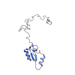 20257_6p5k_Aa_v1-3
Structure of a mammalian 80S ribosome in complex with the Israeli Acute Paralysis Virus IRES (Class 3)