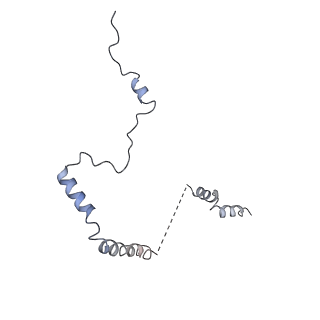 20257_6p5k_Ab_v1-3
Structure of a mammalian 80S ribosome in complex with the Israeli Acute Paralysis Virus IRES (Class 3)