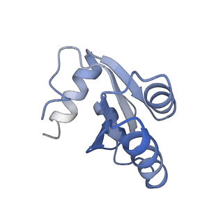 20257_6p5k_Ac_v1-3
Structure of a mammalian 80S ribosome in complex with the Israeli Acute Paralysis Virus IRES (Class 3)