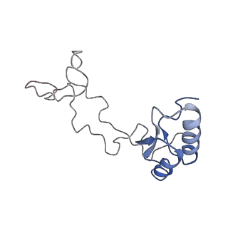 20257_6p5k_Ae_v1-3
Structure of a mammalian 80S ribosome in complex with the Israeli Acute Paralysis Virus IRES (Class 3)