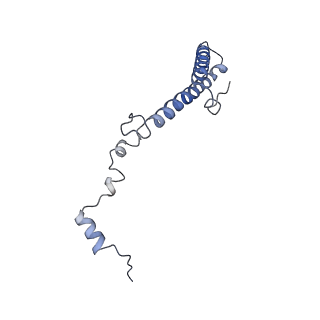 20257_6p5k_Ah_v1-3
Structure of a mammalian 80S ribosome in complex with the Israeli Acute Paralysis Virus IRES (Class 3)
