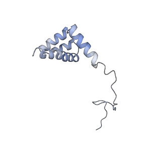 20257_6p5k_Ai_v1-3
Structure of a mammalian 80S ribosome in complex with the Israeli Acute Paralysis Virus IRES (Class 3)