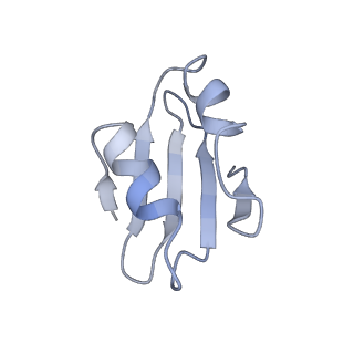 20257_6p5k_Ak_v1-3
Structure of a mammalian 80S ribosome in complex with the Israeli Acute Paralysis Virus IRES (Class 3)