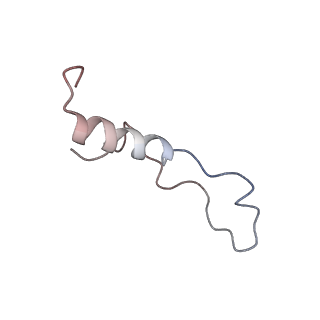 20257_6p5k_Al_v1-3
Structure of a mammalian 80S ribosome in complex with the Israeli Acute Paralysis Virus IRES (Class 3)