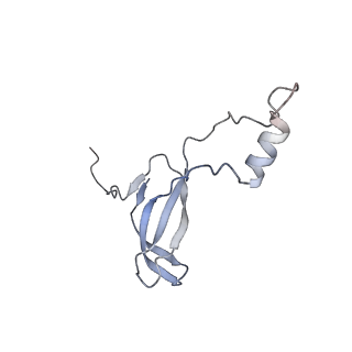 20257_6p5k_Ao_v1-3
Structure of a mammalian 80S ribosome in complex with the Israeli Acute Paralysis Virus IRES (Class 3)