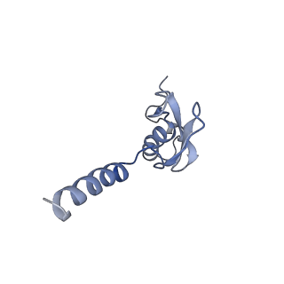 20257_6p5k_Ap_v1-3
Structure of a mammalian 80S ribosome in complex with the Israeli Acute Paralysis Virus IRES (Class 3)