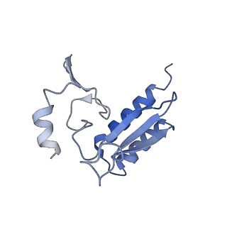 20257_6p5k_Ar_v1-3
Structure of a mammalian 80S ribosome in complex with the Israeli Acute Paralysis Virus IRES (Class 3)