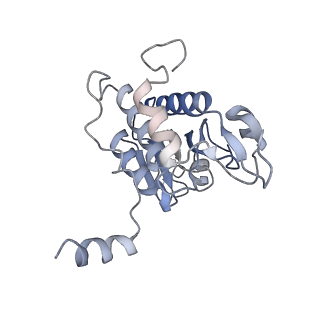 20257_6p5k_B_v1-3
Structure of a mammalian 80S ribosome in complex with the Israeli Acute Paralysis Virus IRES (Class 3)