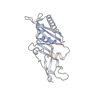 20257_6p5k_C_v1-3
Structure of a mammalian 80S ribosome in complex with the Israeli Acute Paralysis Virus IRES (Class 3)