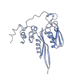20257_6p5k_D_v1-3
Structure of a mammalian 80S ribosome in complex with the Israeli Acute Paralysis Virus IRES (Class 3)