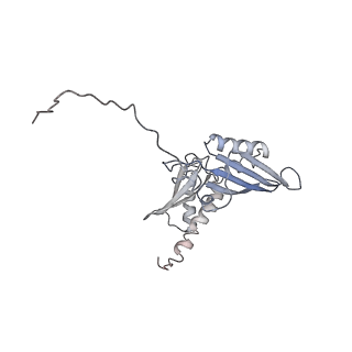 20257_6p5k_E_v1-3
Structure of a mammalian 80S ribosome in complex with the Israeli Acute Paralysis Virus IRES (Class 3)