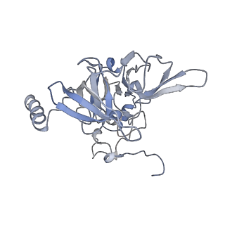 20257_6p5k_F_v1-3
Structure of a mammalian 80S ribosome in complex with the Israeli Acute Paralysis Virus IRES (Class 3)