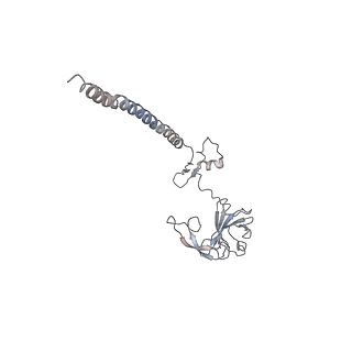 20257_6p5k_H_v1-3
Structure of a mammalian 80S ribosome in complex with the Israeli Acute Paralysis Virus IRES (Class 3)