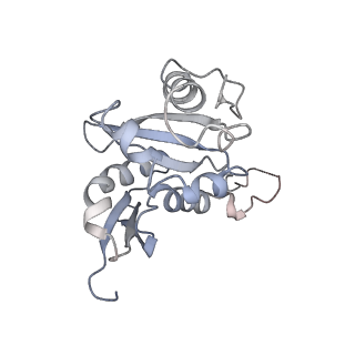 20257_6p5k_I_v1-3
Structure of a mammalian 80S ribosome in complex with the Israeli Acute Paralysis Virus IRES (Class 3)