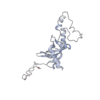 20257_6p5k_J_v1-3
Structure of a mammalian 80S ribosome in complex with the Israeli Acute Paralysis Virus IRES (Class 3)