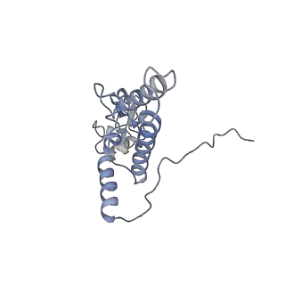 20257_6p5k_K_v1-3
Structure of a mammalian 80S ribosome in complex with the Israeli Acute Paralysis Virus IRES (Class 3)