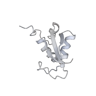20257_6p5k_L_v1-3
Structure of a mammalian 80S ribosome in complex with the Israeli Acute Paralysis Virus IRES (Class 3)