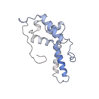 20257_6p5k_O_v1-3
Structure of a mammalian 80S ribosome in complex with the Israeli Acute Paralysis Virus IRES (Class 3)