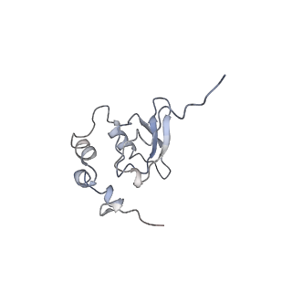 20257_6p5k_Q_v1-3
Structure of a mammalian 80S ribosome in complex with the Israeli Acute Paralysis Virus IRES (Class 3)