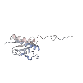 20257_6p5k_R_v1-3
Structure of a mammalian 80S ribosome in complex with the Israeli Acute Paralysis Virus IRES (Class 3)