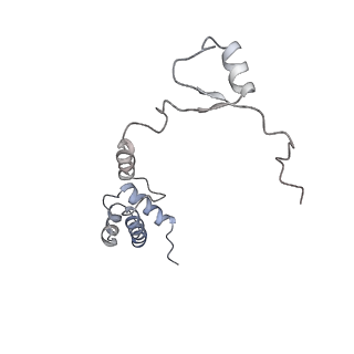20257_6p5k_S_v1-3
Structure of a mammalian 80S ribosome in complex with the Israeli Acute Paralysis Virus IRES (Class 3)