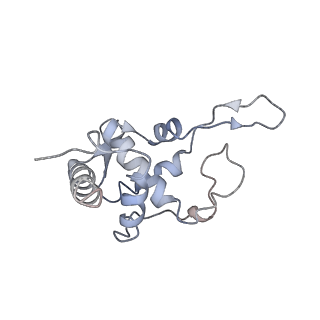 20257_6p5k_U_v1-3
Structure of a mammalian 80S ribosome in complex with the Israeli Acute Paralysis Virus IRES (Class 3)