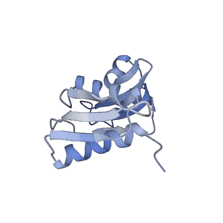20257_6p5k_X_v1-3
Structure of a mammalian 80S ribosome in complex with the Israeli Acute Paralysis Virus IRES (Class 3)