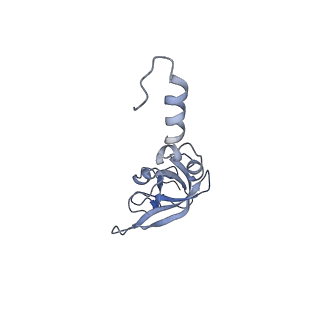 20257_6p5k_Y_v1-3
Structure of a mammalian 80S ribosome in complex with the Israeli Acute Paralysis Virus IRES (Class 3)