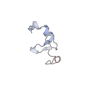 20257_6p5k_e_v1-3
Structure of a mammalian 80S ribosome in complex with the Israeli Acute Paralysis Virus IRES (Class 3)