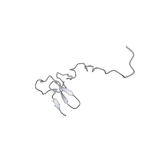 20257_6p5k_g_v1-3
Structure of a mammalian 80S ribosome in complex with the Israeli Acute Paralysis Virus IRES (Class 3)
