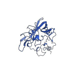 20258_6p5n_AA_v1-3
Structure of a mammalian 80S ribosome in complex with a single translocated Israeli Acute Paralysis Virus IRES and eRF1