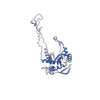 20258_6p5n_AC_v1-3
Structure of a mammalian 80S ribosome in complex with a single translocated Israeli Acute Paralysis Virus IRES and eRF1